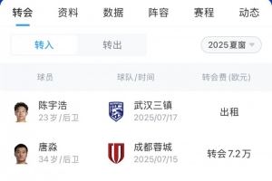 玉昆夏窗汇总:免签罗马尼亚国脚布尔克引进唐淼,两外援撤销报名