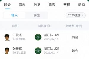 浙江队夏窗汇总:200万欧签米特里策、租借卡列洛,埃弗拉离队